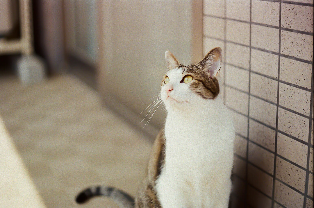 Thumb 6df7dcb9 44a4 428e a588 09a7df12a46c