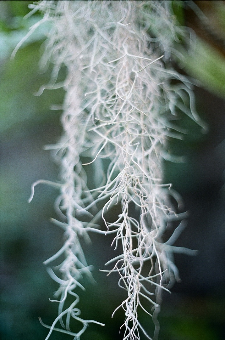 Thumb 29710d9d 9227 4386 9da5 7246f63c6be5