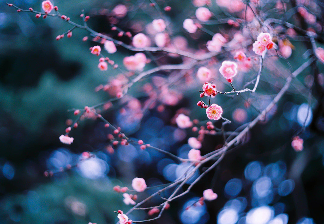 Thumb 5c438eb1 c307 4fdb a2c1 6a6af962eda6