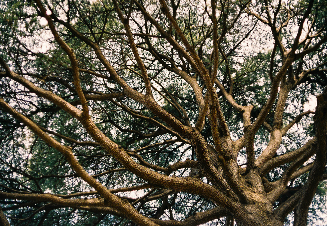 Thumb 80ec55ce 072f 4df8 a45f f71225233035