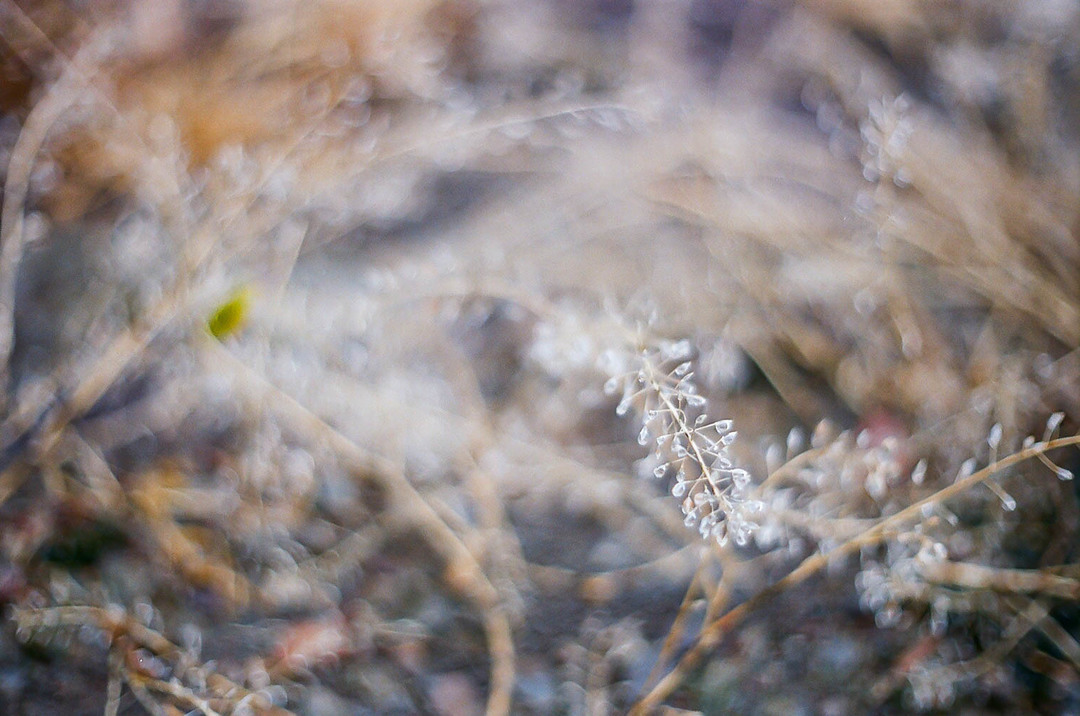 Thumb d1872bcf 6c79 4b75 8d9d a54dfa2a36af