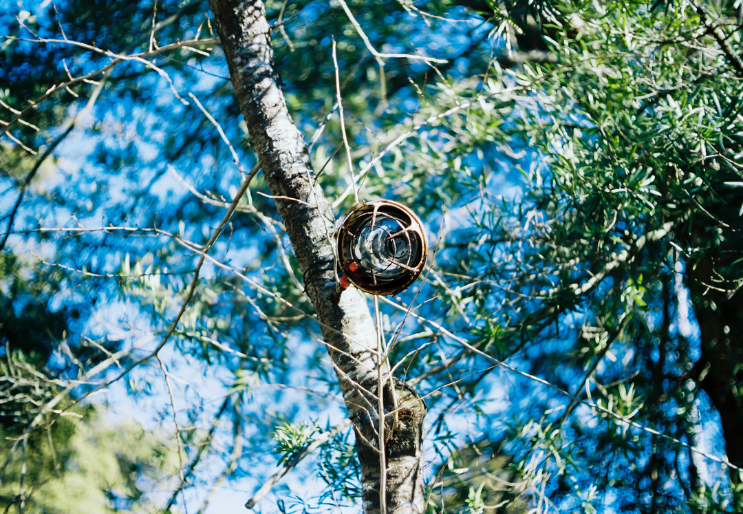 Thumb 140accb4 ad65 426c 9b83 8a99c4084e6b