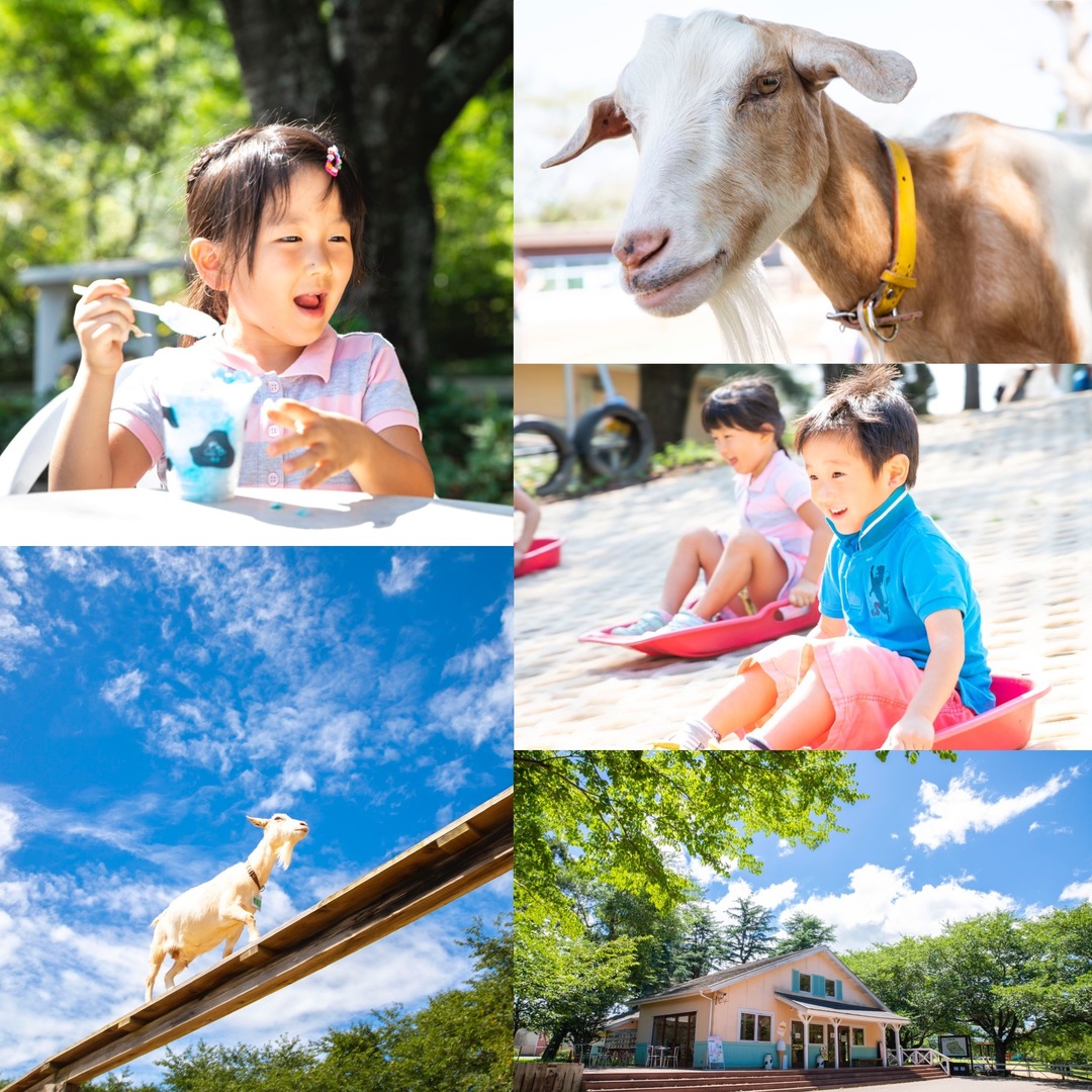 Thumb 3475310f e5f8 4506 859a d602a7cb88ff