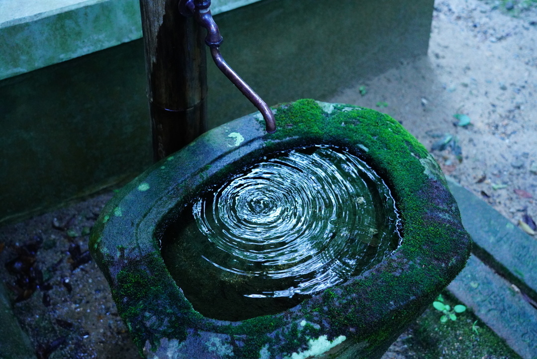 Thumb 8dacdd6d 3507 44bd b176 8bf6afaf29e5