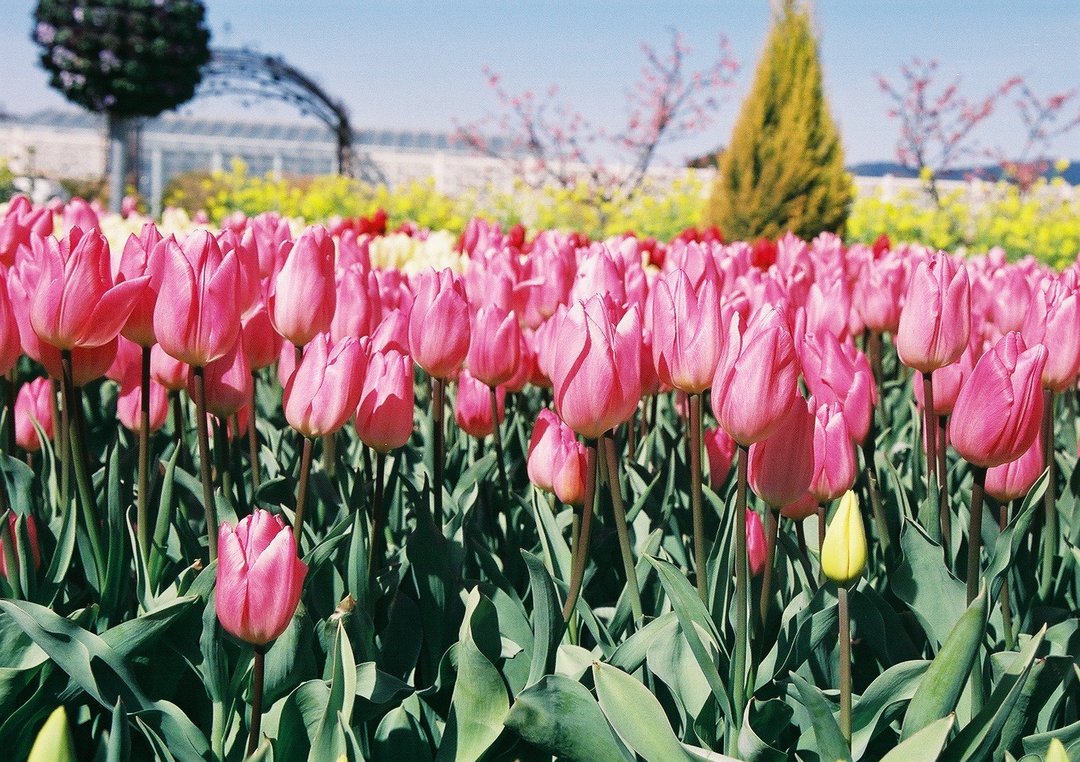 Thumb e37099a0 f4e7 4408 aea0 6c02e97fd232