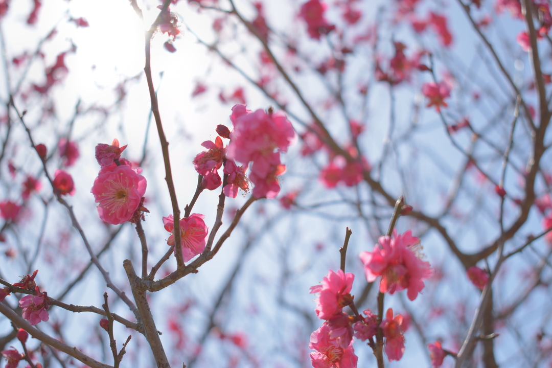 Thumb 50be0497 570e 4bd5 b883 979d524dd35b