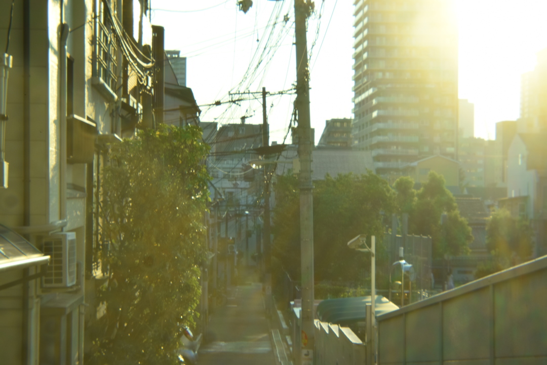 Thumb 9a9ee131 9f86 4c80 b534 bd833d8f6c3b