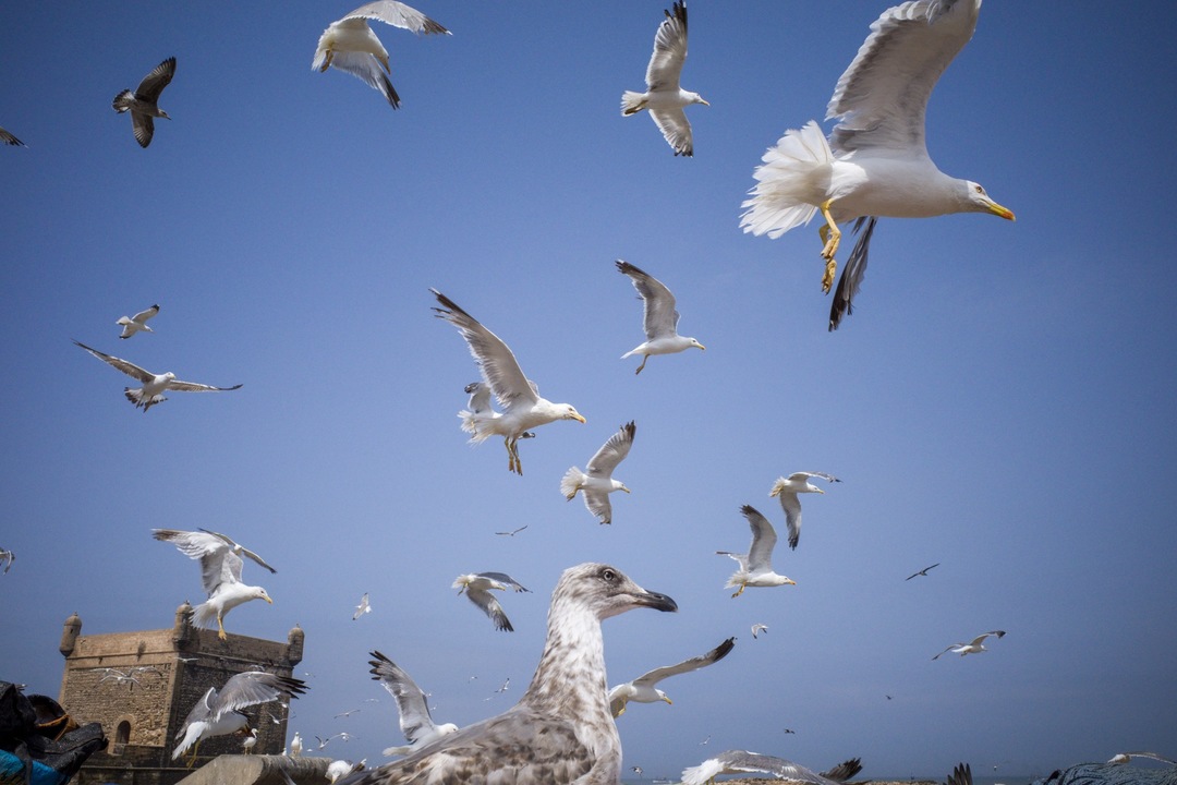 Thumb cecb64bc 97e1 4ba6 b0db 5ab3cf223b21