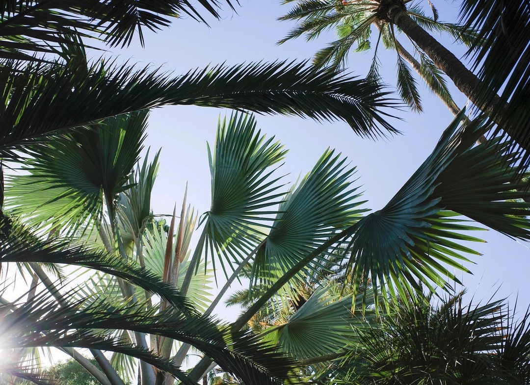 Thumb 3b6a1461 a36f 4c8d a37f cc0408914196