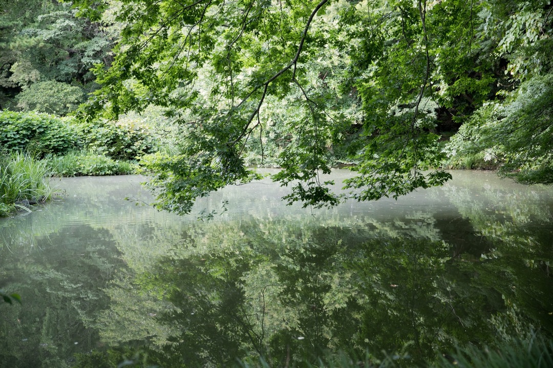 Thumb 66f3c367 c46e 4a35 adbd 5eb2e2b5ad12