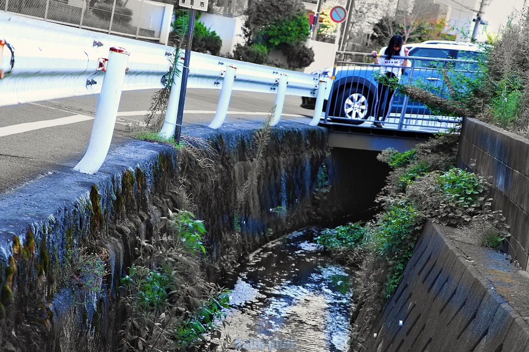 Thumb 71bb5551 43f2 49f9 b25a 6259b3146631