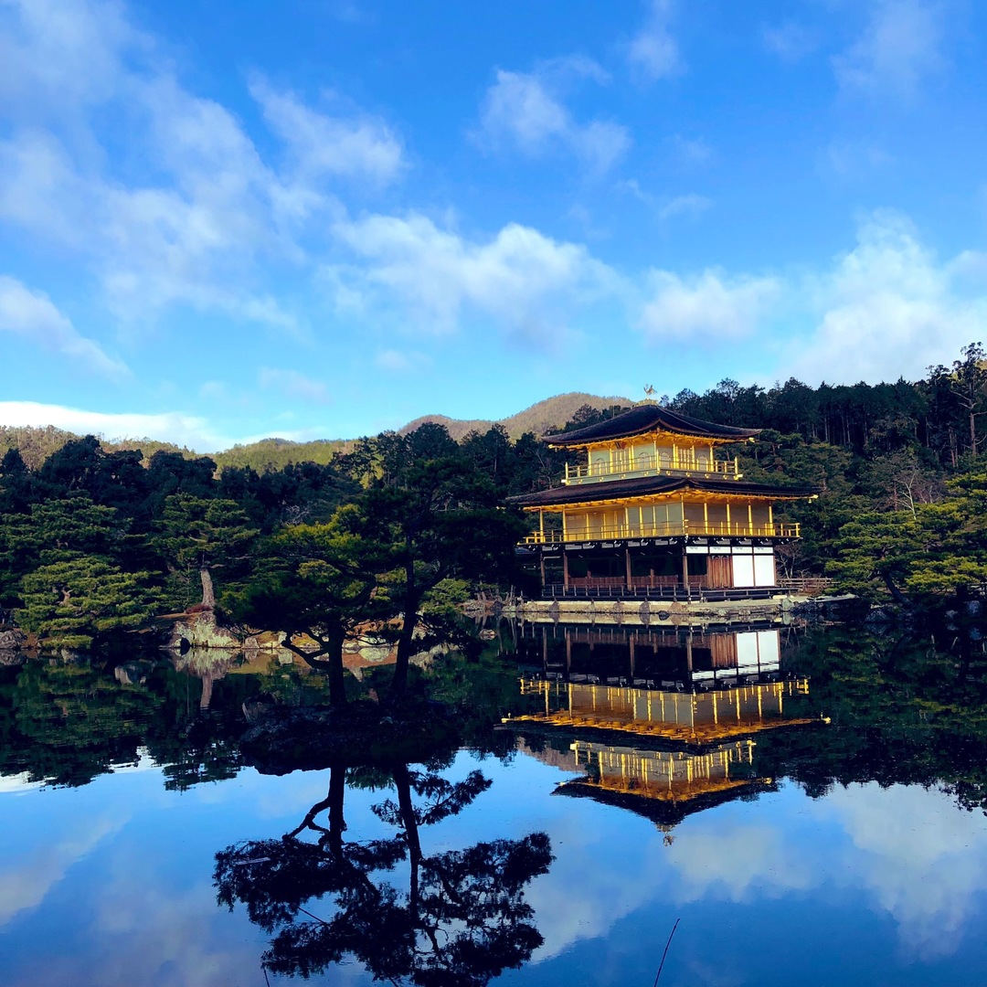 Thumb e76b77b9 a30a 4e9e 8ee2 2b88576e6b18