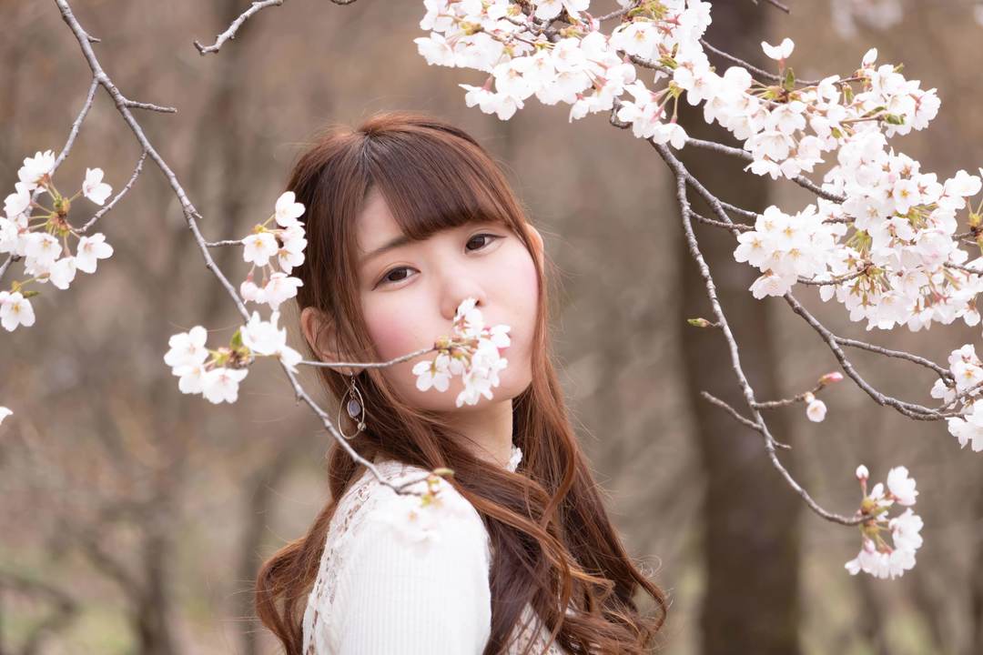 Thumb c55635fc 49b5 49b9 bd3c bd07a31766a9