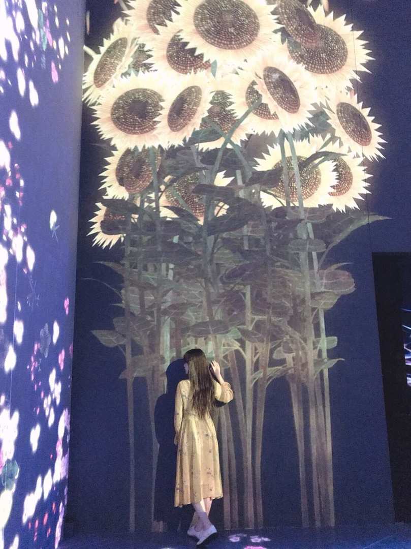 Thumb e887d9a5 d941 4257 9cd6 e3b54cc68836