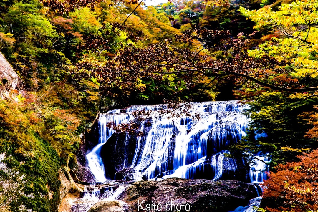 Thumb 609a48d4 283c 4e0a 9241 ee9b9f056158