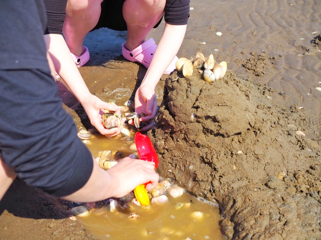 Thumb 107c11a8 a457 440e 8fc2 1387481ce67e