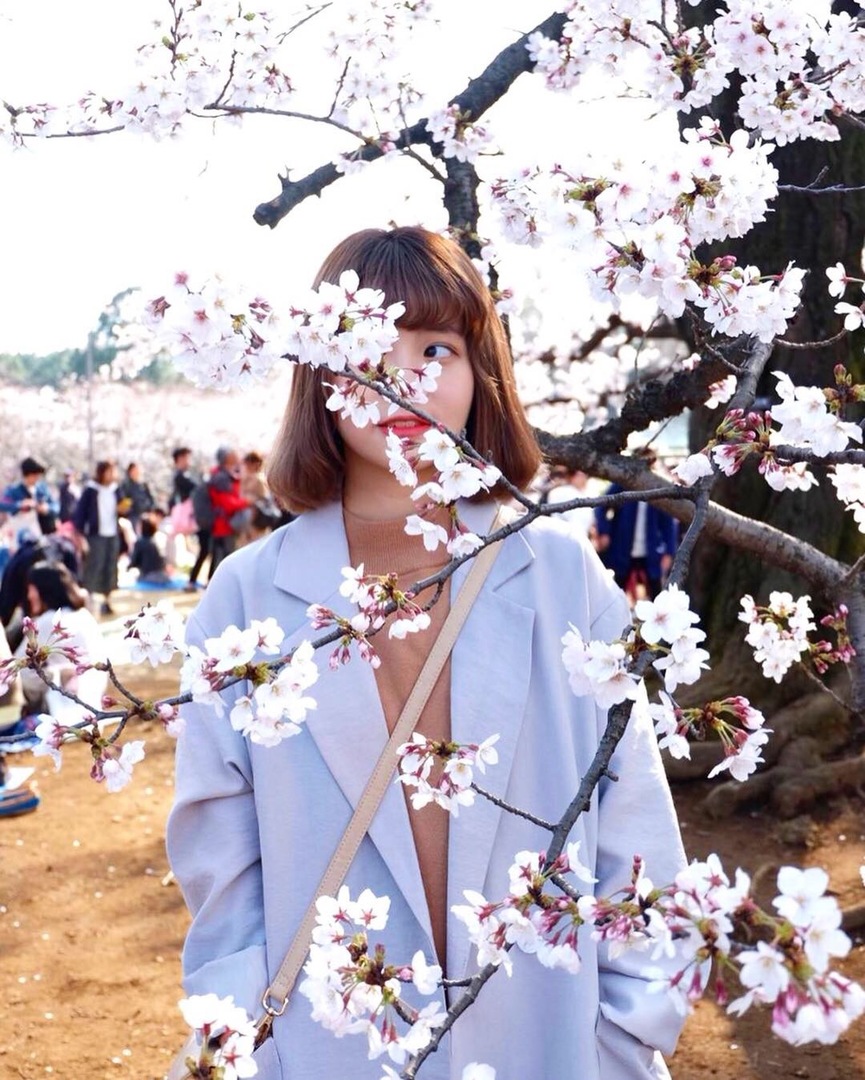 Thumb 8b12a88b 8595 4884 b7c0 d9b0323b14d3