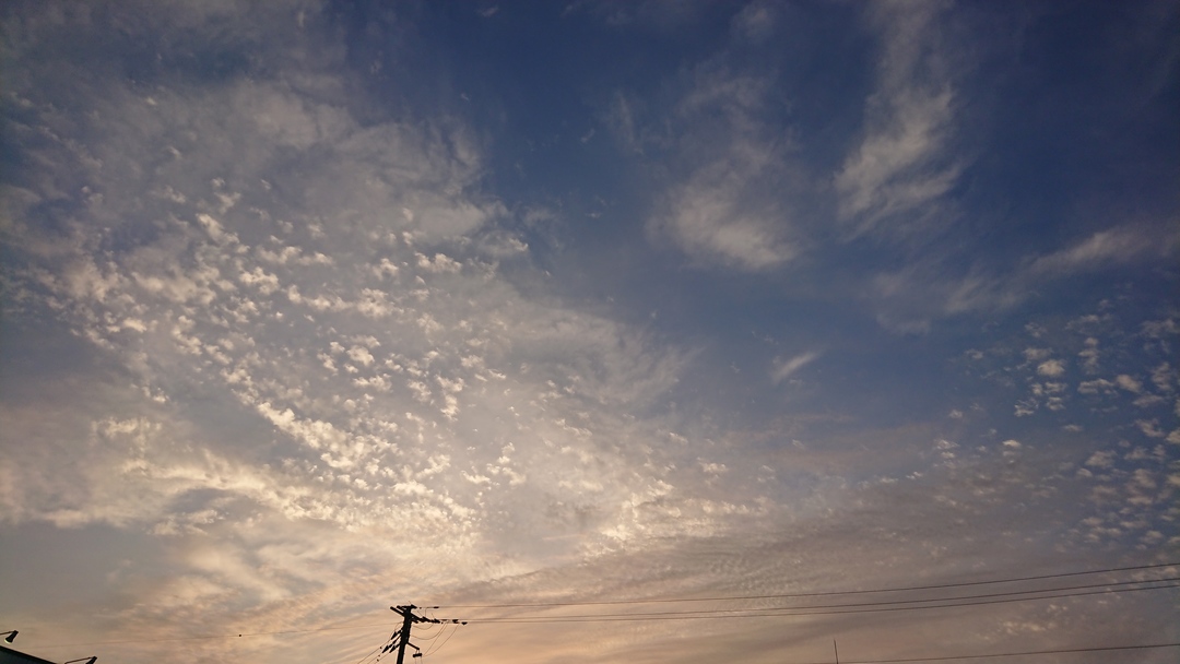 Thumb 282ca970 0d01 4545 bdbf 7a1ec60ffe01