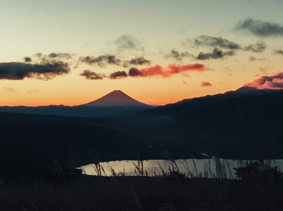 Thumb 0cd7c01a f68f 4075 a9b9 1c7fc58ee612