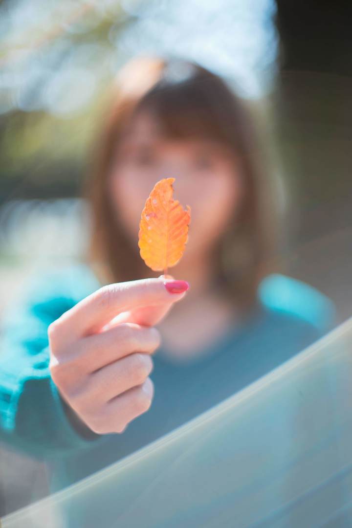 Thumb c8340c95 4112 4f04 a4ae 4a41ccd8e9c8