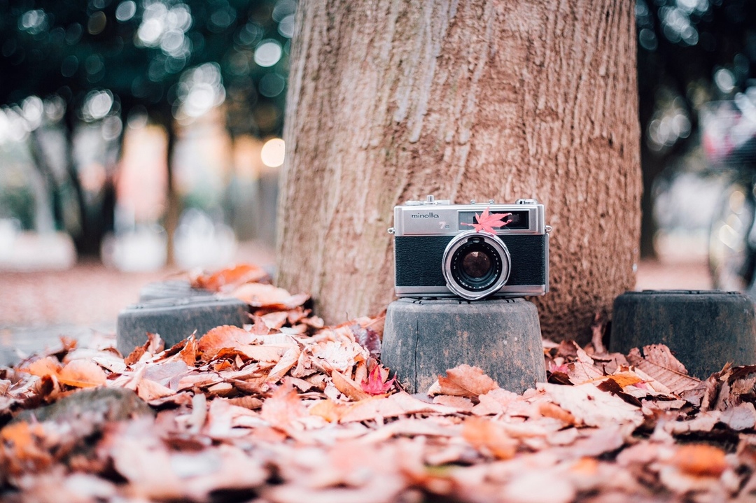 Thumb 45db566e 9fe7 40e7 9983 6dfceaab029e