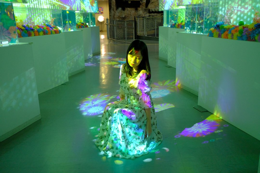 Thumb 5de1c675 ea0e 48a5 9977 e96804142c4c