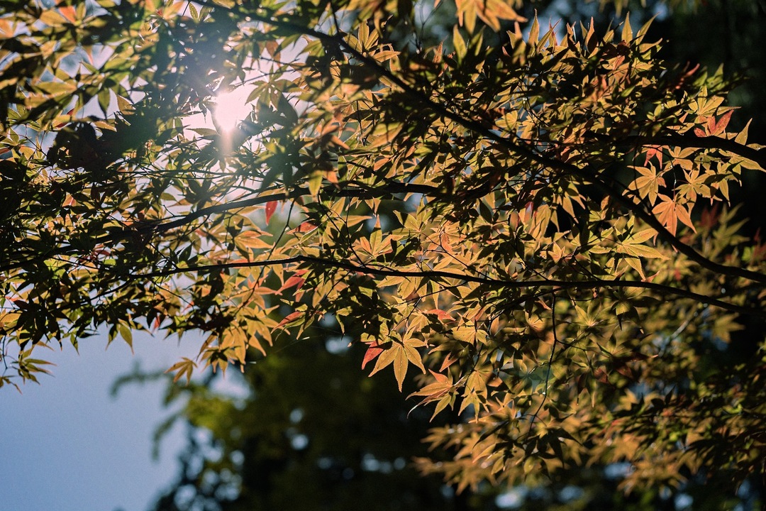 Thumb 58919bf5 5af0 4ac3 a51f 7176ae85f170