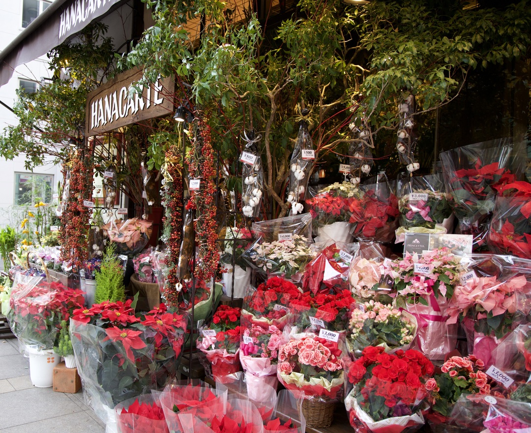 Thumb 468feac6 9902 4142 bdc4 9fb910e35dee