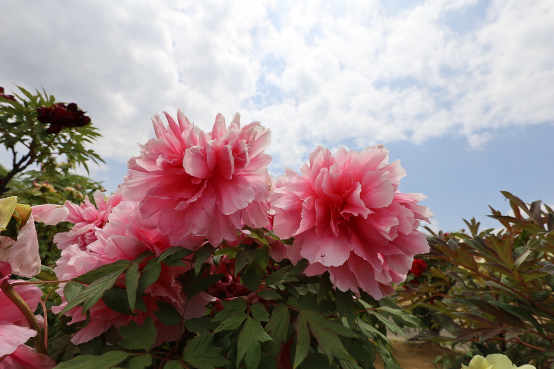 Thumb d09fa3b3 3b40 4f71 af3b 58eb8cfa185e