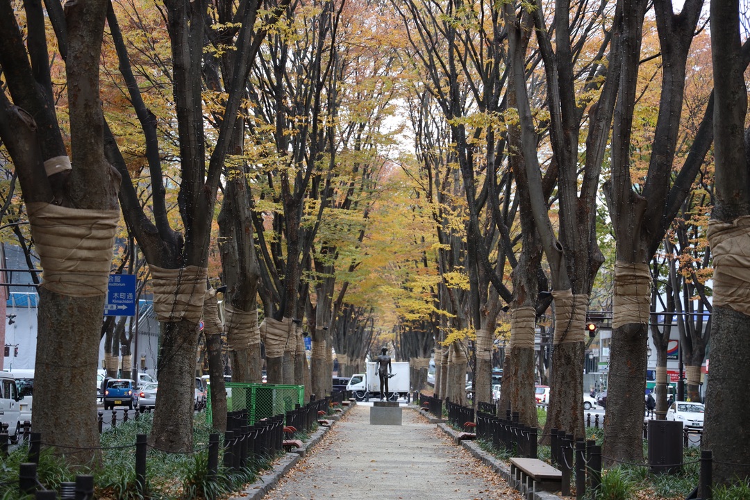 Thumb 5f189170 49a4 4fde b9e0 4d38d07d6be9