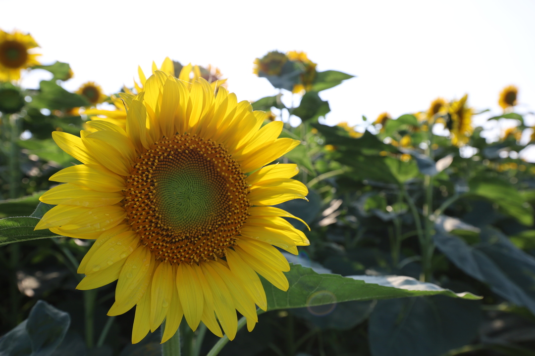 Thumb bc1f0a8c f5c1 4930 988c 6a5f7fb49741