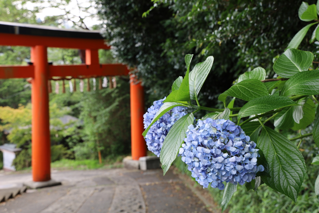 Thumb 4e40df0c 56d8 4186 a3e3 2549e8313a96