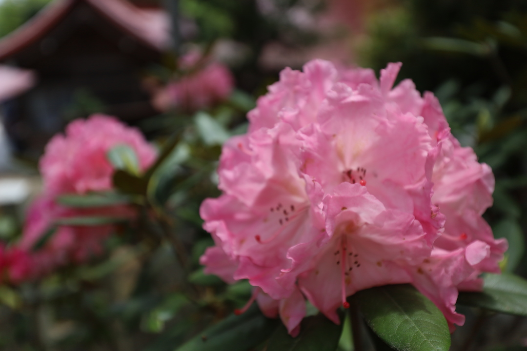 Thumb c2cd64af 0131 4828 85f6 de168db3eebd