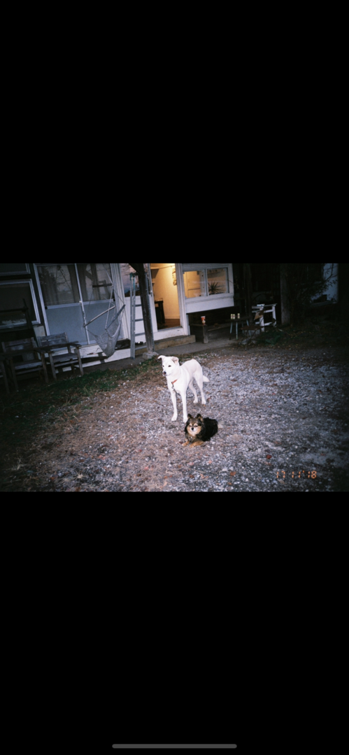 Thumb 2c274390 6782 4c9d bff2 3818b8614a12