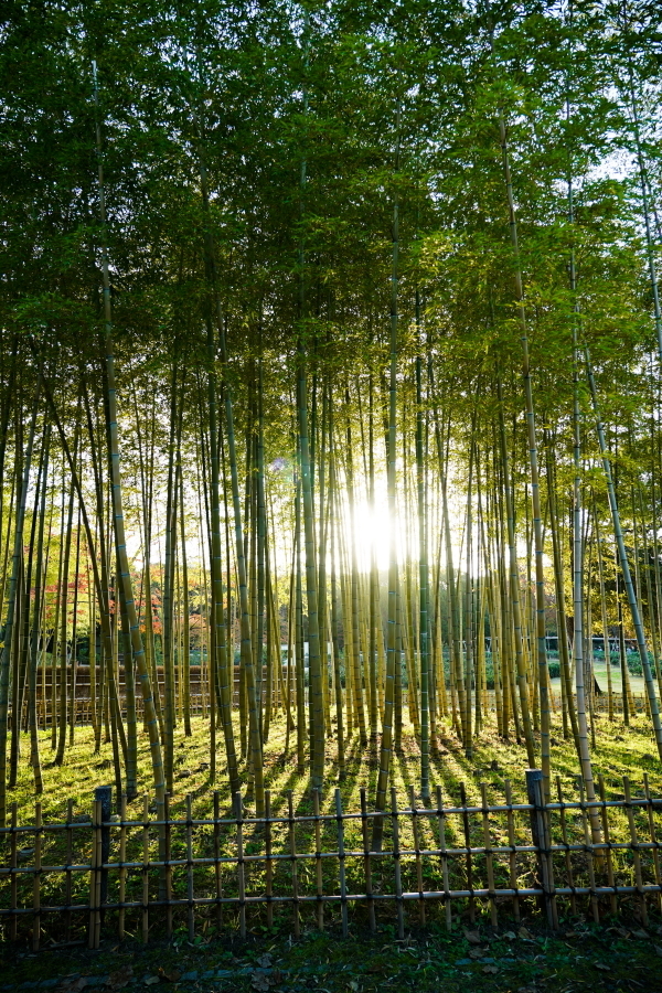 Thumb ba664740 fa8b 417d 9155 977e526b4410