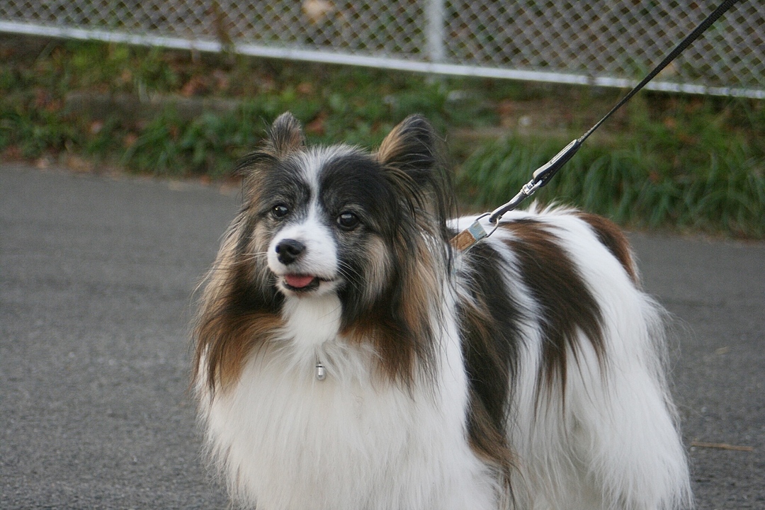 Thumb c24c4fbc 275a 446f 8e92 f7d58b2fee08