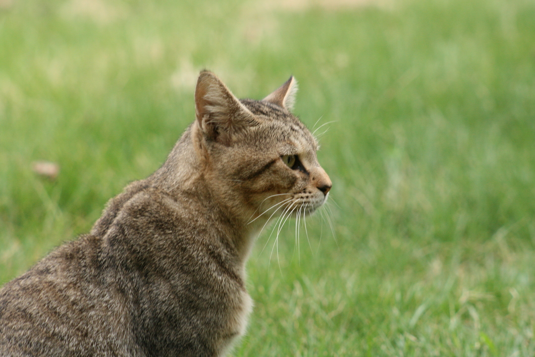 Thumb 6dd753d3 e7f9 4aa4 b8bc 610d18fe406b