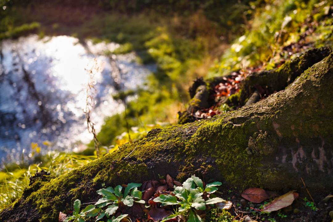 Thumb 63093c65 e95c 47e9 b66b 220e9cb43274