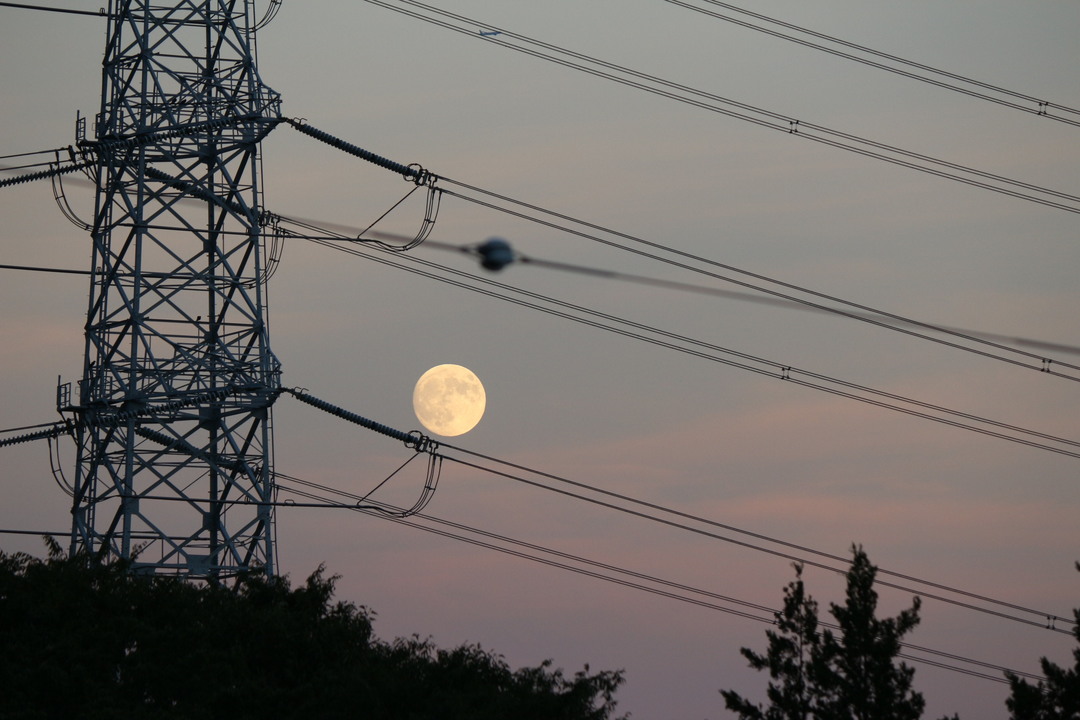 Thumb e157a477 024a 4cc1 ba66 cd96819f95bc