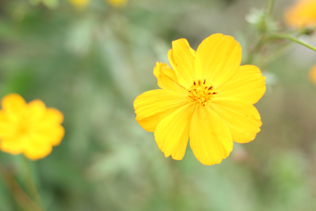 Thumb be833930 86e6 48b5 bdf5 6b7f134219b6