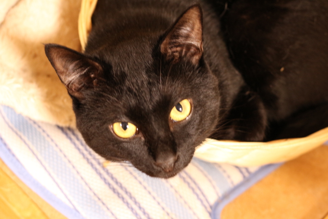 Thumb 3194f7e6 fab8 4067 849e f461b60fae2c