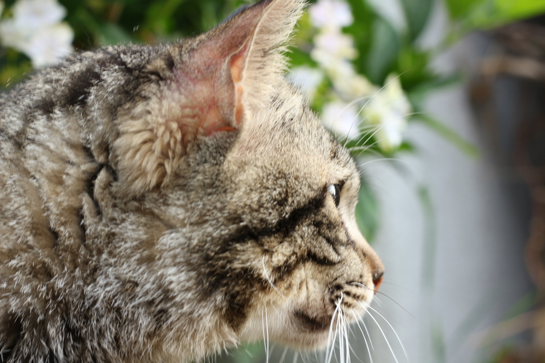 Thumb eaf361fe 8a64 4caa 83ae d2f16eec216d