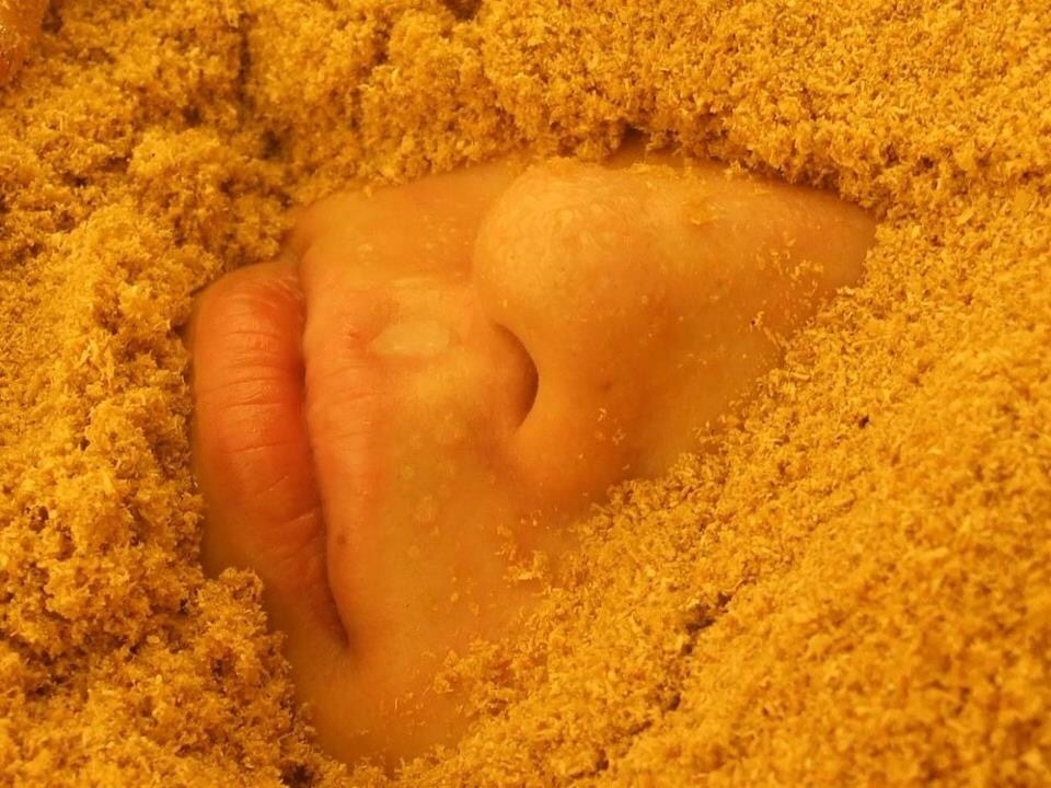 Thumb 531588c9 c40d 478e 8e08 d9c9ffad6f65