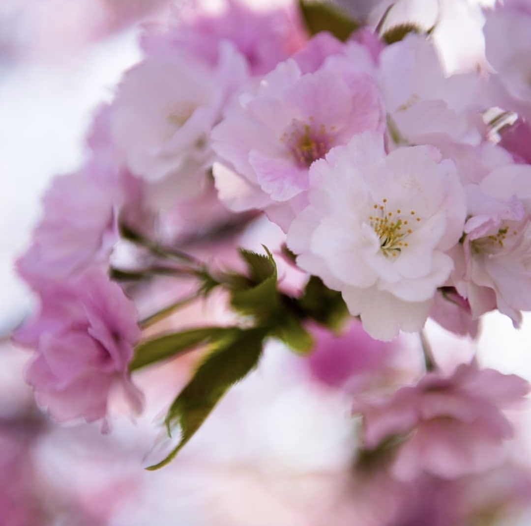 Thumb 08bcee04 abb7 4353 8762 d66836ab6bee