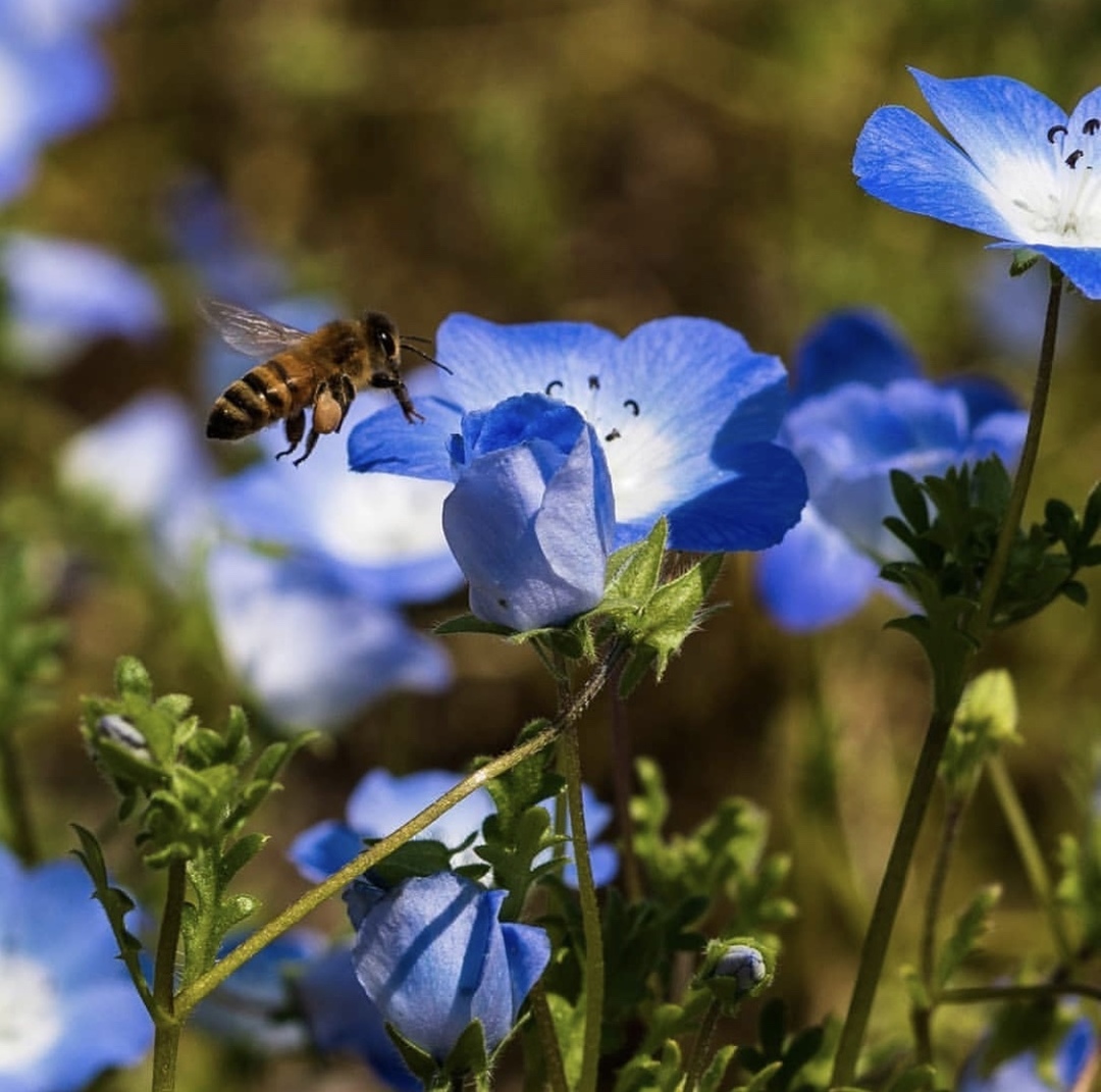 Thumb 41e90f26 3cc7 4538 9156 d6406698c5fb