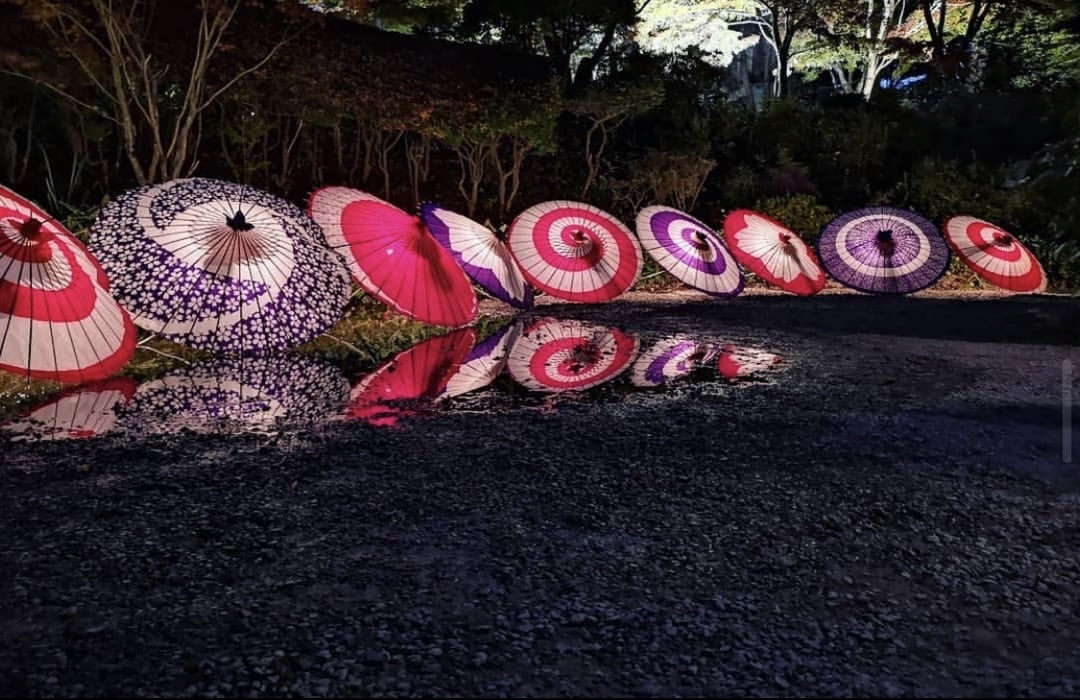 Thumb f246c0a3 66ad 4a36 8903 a41b21d38d4d