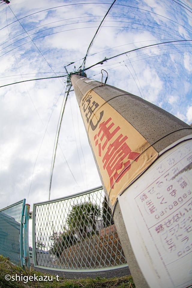 Thumb dd4a541a 54b8 45e4 ac95 4f19e2f2fc64