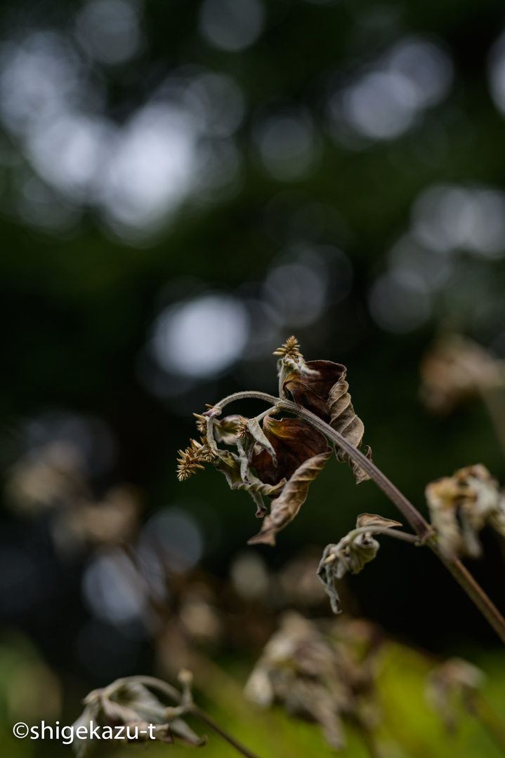 Thumb 71020505 cbaa 4a13 812e 9105a43c3e14