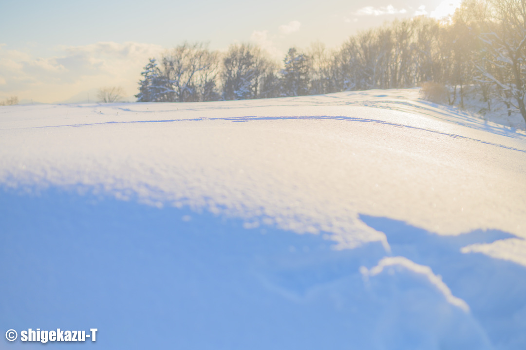 Thumb f83a4816 4ca4 4328 86d4 e3ddd342aebf