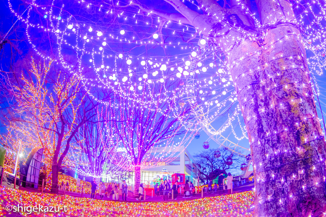 Thumb b4095083 8ff5 46bb 8ee2 b04065afcbd9